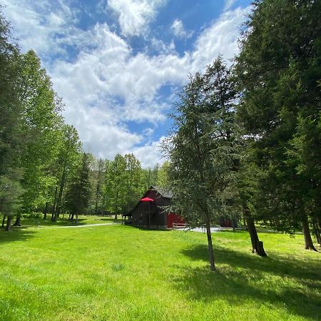 Shadow Mountain Escape Cabin Rentals Luray Exteriér fotografie