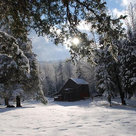 Shadow Mountain Escape Cabin Rentals Luray Exteriér fotografie