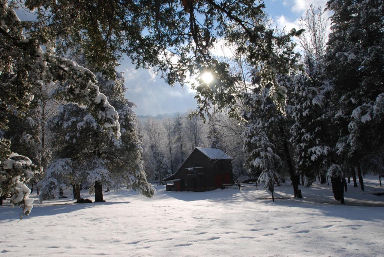 Shadow Mountain Escape Cabin Rentals Luray Exteriér fotografie
