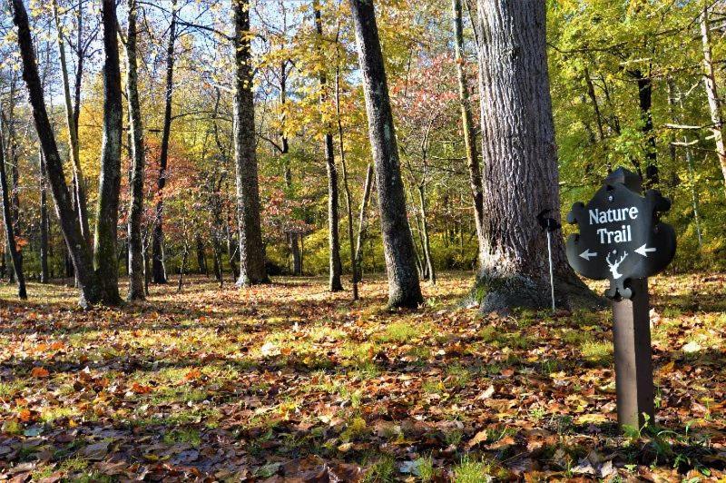Shadow Mountain Escape Cabin Rentals Luray Exteriér fotografie
